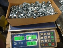 Fabrikaren ikuspegia