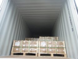 Fabrikaren ikuspegia