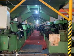 Fabrikaren ikuspegia