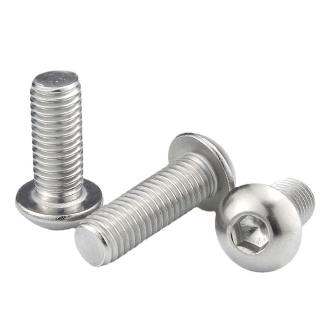 Ss Pan Socket Buru Bolt